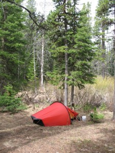 Camp Site next to North Fork of the Blackfoot River